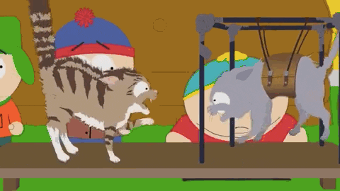comedy central GIF