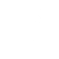 london wow Sticker by Macaroni Liberation Front