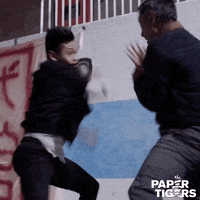 Martial Arts Movie GIF by AMP International