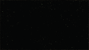 fire bran dougherty-johnson GIF by Yule Log 2.015