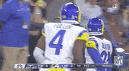 Los Angeles Rams Football GIF by NFL