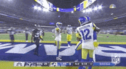 Los Angeles Rams Football GIF by NFL