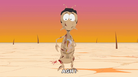 blood bug GIF by South Park 