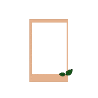 Plant Frame Sticker