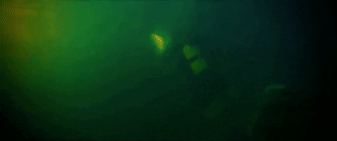 kevinmaher giphyupload 47 meters down uncaged GIF
