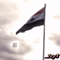 Iraq Koky GIF