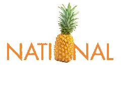 nickelodeonhotels nickelodeon spongebob pineapple spongebobsquarepants Sticker