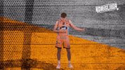 Sport Basketball GIF by Basket_fi