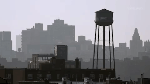 viceland GIF by F*CK, THAT'S DELICIOUS