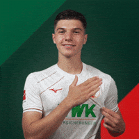 Happy Logo GIF by FC Augsburg 1907