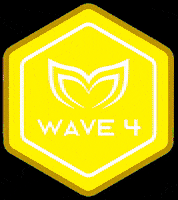 Wave4 GIF by Molchanovs