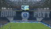 Football Soccer GIF by FC Schalke 04