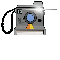 Picture Photo Sticker by Navarre Press
