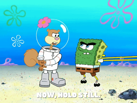 season 7 episode 20 GIF by SpongeBob SquarePants