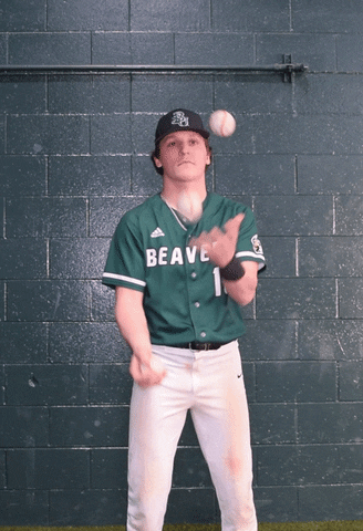 Baseball Juggling GIF by Bemidji State Beavers