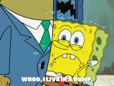 season 5 GIF by SpongeBob SquarePants