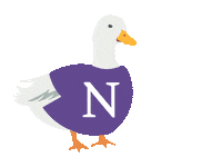 Spring Wildcats Sticker by Northwestern University