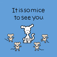 Nice To See You GIF by Chippy the Dog