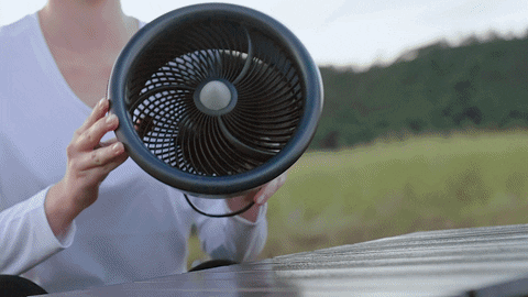 Tangsina giphyupload GIF
