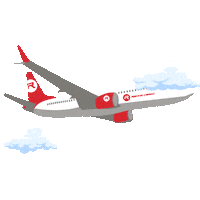 Fly Plane Sticker by Racing Cargo