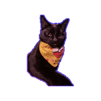 Cat Tongue Pokemon Sticker by Rod Kim