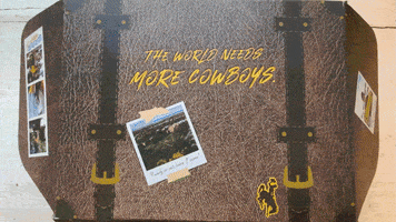 Cowboys Future Cowboy GIF by University of Wyoming
