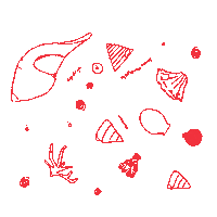 Razor Shell Ocean Sticker by Magpie Goose