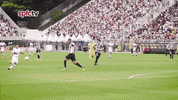 spfc GIF by São Paulo FC
