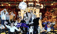 GIF by Fuzzy Wobble