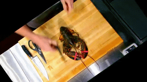 gordon lobster GIF