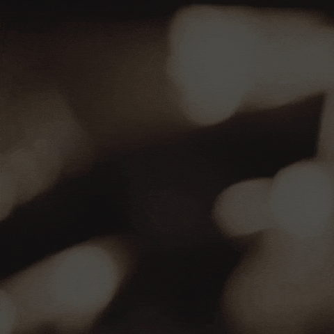 ashleyann1324 giphyupload GIF