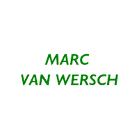 Heerlen Sticker by Groene ster