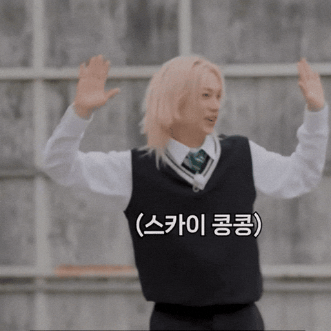 Stray Kids Skz GIF