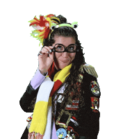 Carnaval Brabant Sticker by Oeteldonk Online