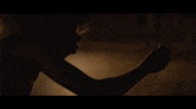 London Film Festival Bfi Lff GIF by Signature Entertainment