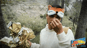 GIF by À Punt Mèdia