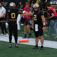 Sport Celebrate GIF by Vanderbilt Athletics