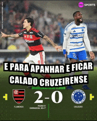 Cruzeiro GIF