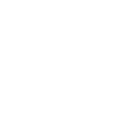 India Records Sticker by SE3K