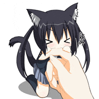 Awesome  Kawaii black cats in anime  Anime Amino