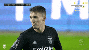 Sl Benfica Idk GIF by Sport Lisboa e Benfica