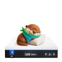 Lunietheotter Sticker by Luniosleep TH