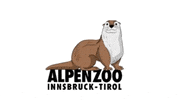 Otter GIF by Alpenzoo Innsbruck