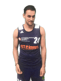 stowarzyszenieakademiasportu beach handball sas gdansk Sticker