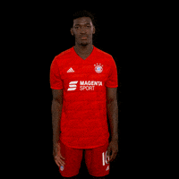 Fc Bayern Bayernmunchen GIF by 3Liga