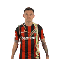 Celebrating Bayer 04 Sticker by Bayer 04 Leverkusen