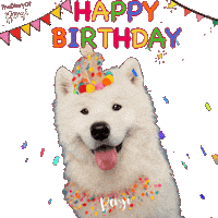 Happy Birthday Party Sticker