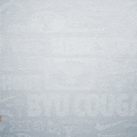 No Biggie Shrug GIF by BYU Cougars