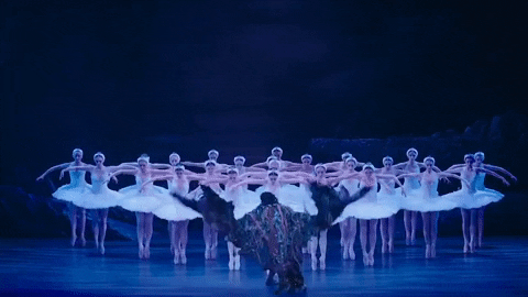 Swanlake GIF by English National Ballet