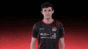 sauberesports yes win sauber f1esports GIF